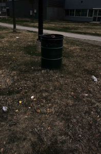 Photo of a garbage can at a park. 