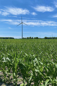 Photo of a windmill in a field with green crops and a blue sky. 